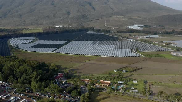 AERIAL: Field, Mexico, Forest, Clouds, Mountains (Flying Forward)