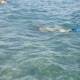 Child Teen Boy Swims In The Sea Water - VideoHive Item for Sale