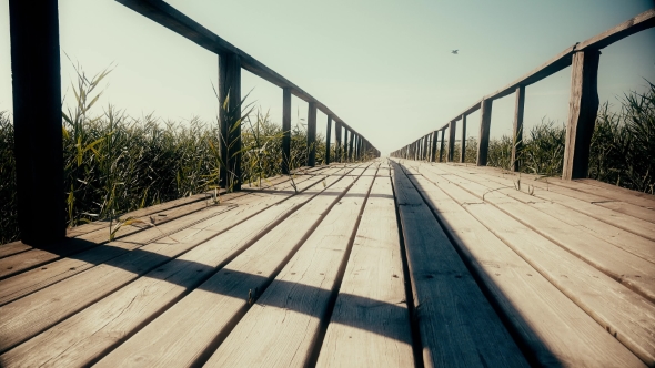 Wooden Bridge To The River