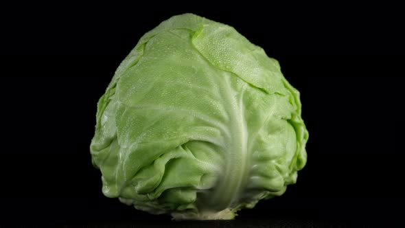 cabbage. head of cabbage isolated on black background, rotation