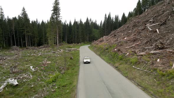 A white Subaru Crosstrek traveling along a paved forest road, aerial track back