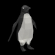 Low-poly Penguin - 3DOcean Item for Sale