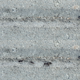 Black Ants Crawling on Ant Trail - VideoHive Item for Sale