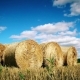 Stubble Field With Straw Bales Under Cloudy Sky. - VideoHive Item for Sale