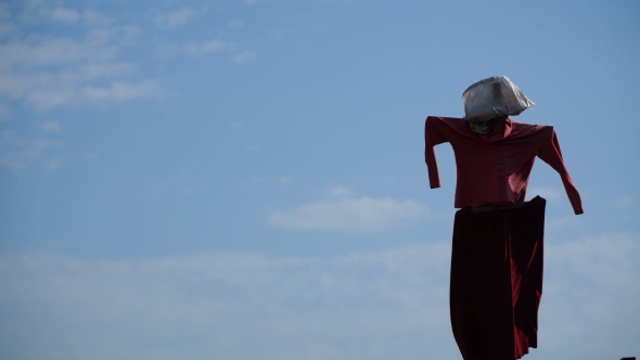 Footage Scarecrow In The Garden On a Background Of Blue Sky. 