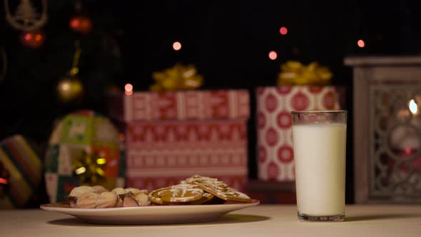 Cookies and milk for Santa