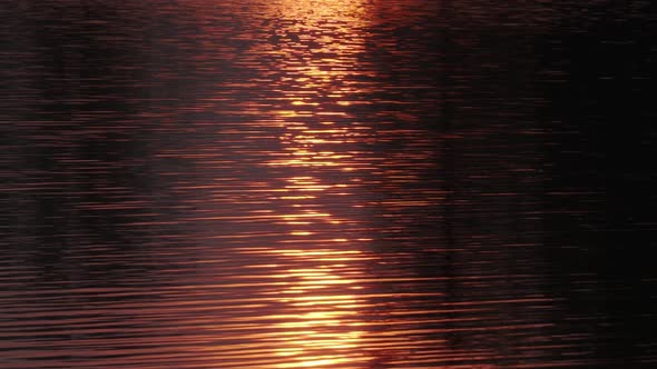 sunset reflection on the water, beautiful water ripples, golden color