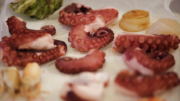 Raw Sea Scallops And Fresh  Octopuses, Dynamic Change Of Focus, 