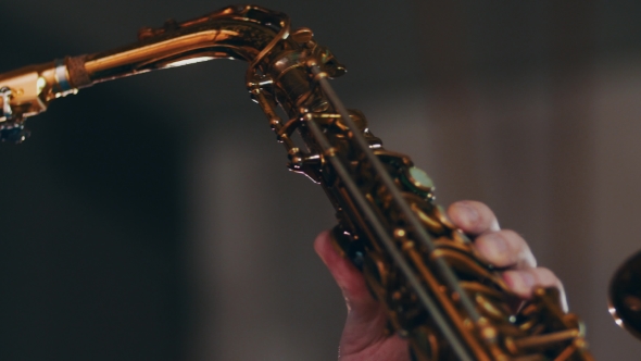 Saxophonist Playing On Golden Saxophone. Live Performance. Jazz Artist. Musician