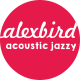 Joy Acoustic