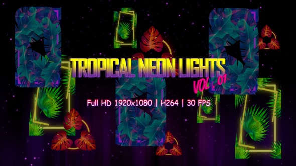 Tropical Neon Lights Vol. 01 VJ Loop