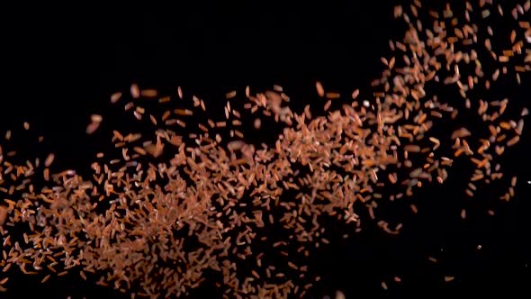Red Rice Flies Up and Falls on a Black Background. Slow Motion. Food Video