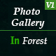 Photo Gallery In Forest - VideoHive Item for Sale