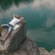 Young Tourist Man Relaxes By Resting On Rock Near Calm Mountain Lake Surface With Map Laying Beside - VideoHive Item for Sale