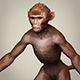Game Ready Realistic Monkey - 3DOcean Item for Sale