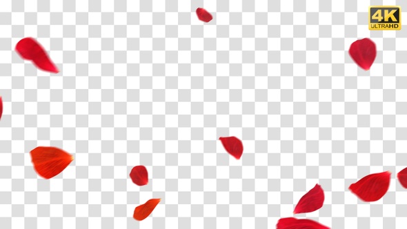 Rose Floating Overlays alt