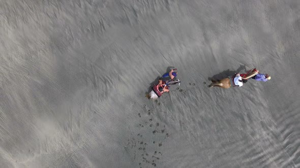 Family Riding Horses on the Seashore