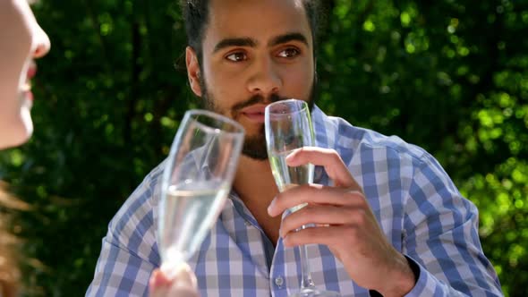 Friends drinking champagne during lunch