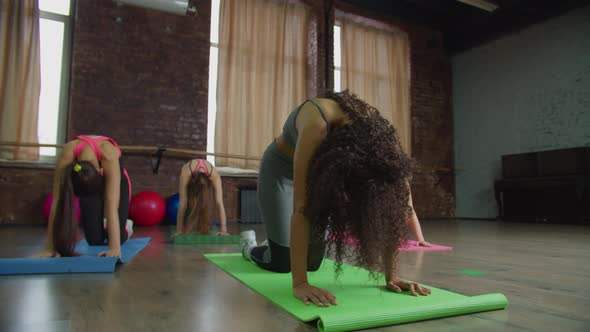 Multiracial Females Practicing Catcow Yoga Pose