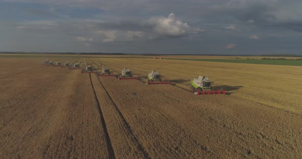 Aerial view of combines harvesting