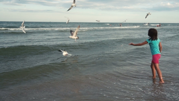 Girl Feeds Seagulls On The Seacoast