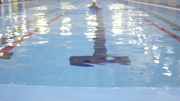 Female Swimmer Training In Swimming Pool