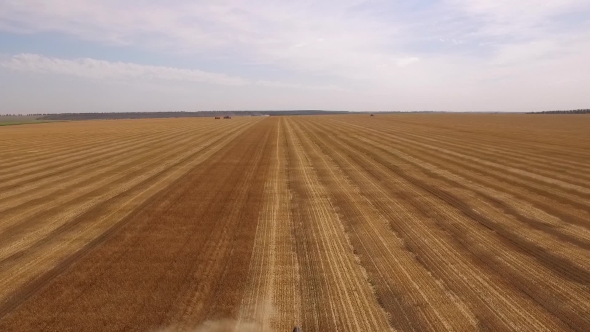 Drone Flying Over Agricultural Grounds, Showing Field Of Uncut And Beveled Wheat, With Two Harvester