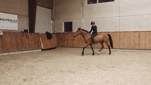 Young Woman Riding Horse Bareback In Paddock