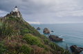 Nugget point, new zealand - PhotoDune Item for Sale