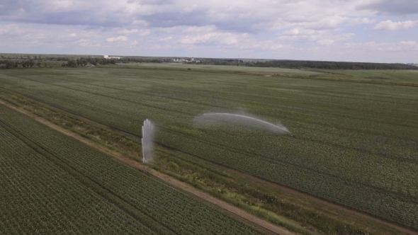 Aerial view:Irrigating Machine In a Potato Field