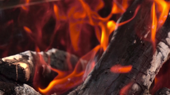 Bright Burning Wood alt