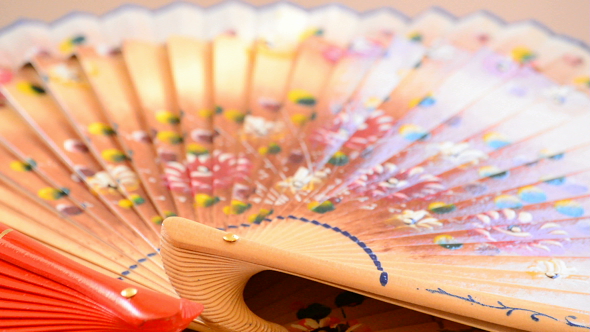 Hand Fan Decorated with Flowers 