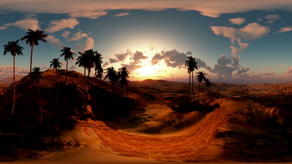 Panoramic Of Palms In Desert At Sunset