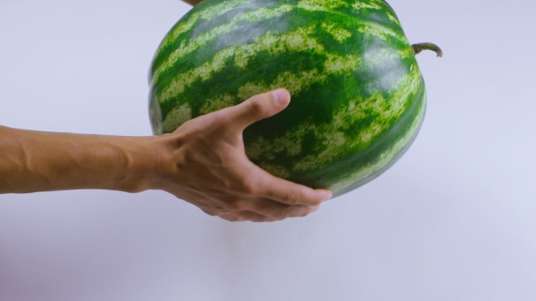 Hands Inspect Watermelon