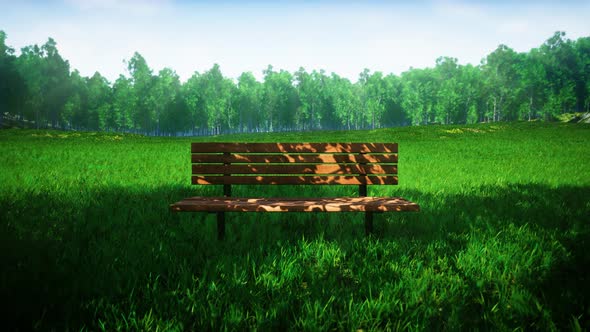 Shady Wooden Bench on the Windy Green Grass Park at Sunny Day 4K 02