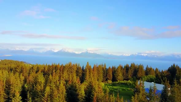 Aerial Dronge Footage Of Alaska Beautiful Pine Forest