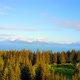 Aerial Dronge Footage Of Alaska Beautiful Pine Forest - VideoHive Item for Sale