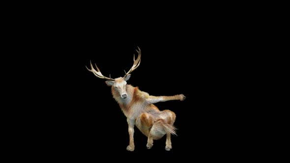 47 Deer Dancing HD alt