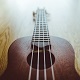 Ukulele Loop