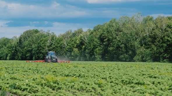 Tractor Pulls On The Field Cultivator: Which Cuts The Weeds. Against The Background Of The Forest