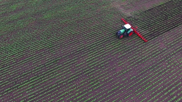 Tractor Pulls On The Field Cultivator: Which Cuts The Weeds. Airview