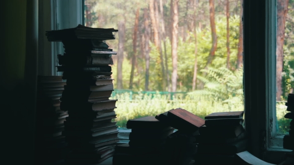 Stacks Of Books Lying On a Window Sill On The Background Green Forest Outside