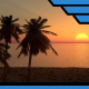 Palms at Sunset - VideoHive Item for Sale