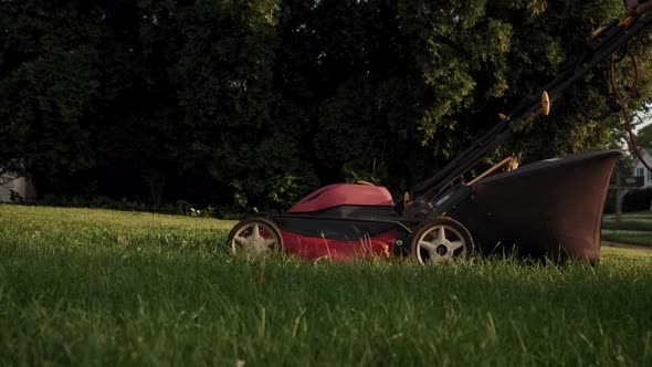 Close Up of Man Cut Grass with Lawn Mower in House Yard Near Swing in Playground