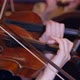 Closeup of Musicians Playing Violins in Symphony Orchestra - VideoHive Item for Sale