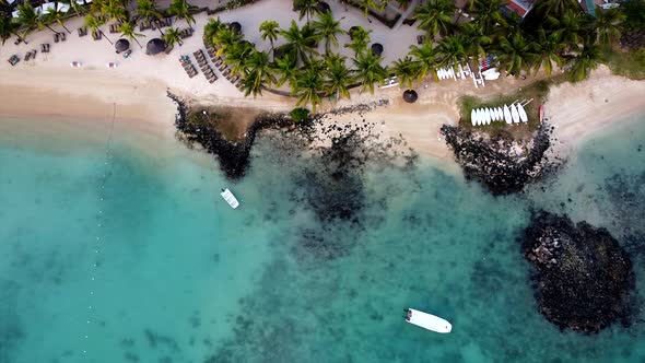 Birds eye top down aerial of colorful sea shore,golden beach,palm tree and rocks in transparent blue