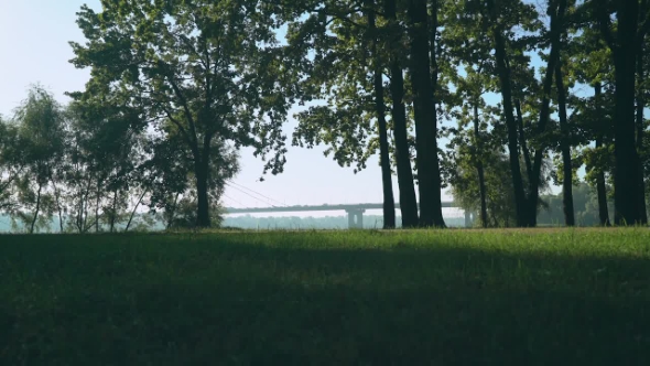 Young Sports Guy Running The Track In The Summer Park. In The Background Is Seen As The Bridge