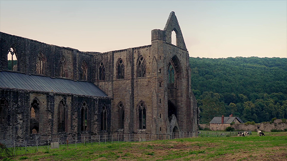 Historic Abbey Ruins In Countryside