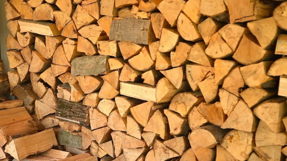 Firewood Stacked In a Woodpile