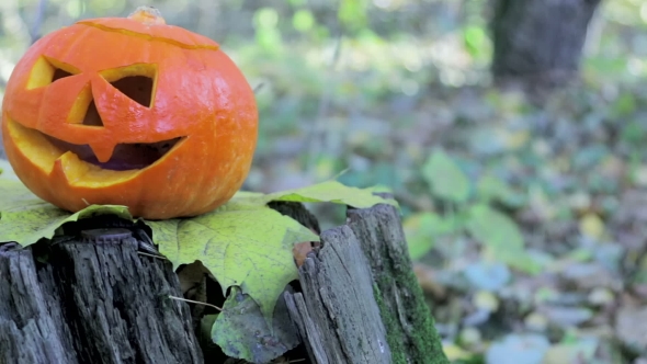 Jack Lantern Pumpkin On Autumn Leaves